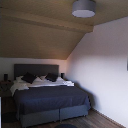 Apartment Trubarjeva33, Near Ljubljana, Free Parking Velike Lasce Eksteriør billede