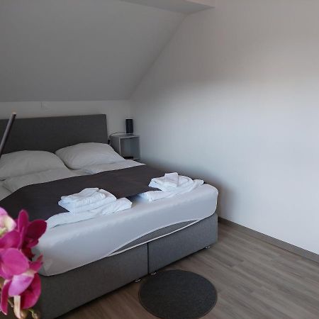 Apartment Trubarjeva33, Near Ljubljana, Free Parking Velike Lasce Eksteriør billede
