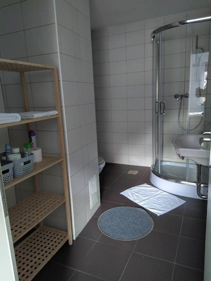 Apartment Trubarjeva33, Near Ljubljana, Free Parking Velike Lasce Eksteriør billede