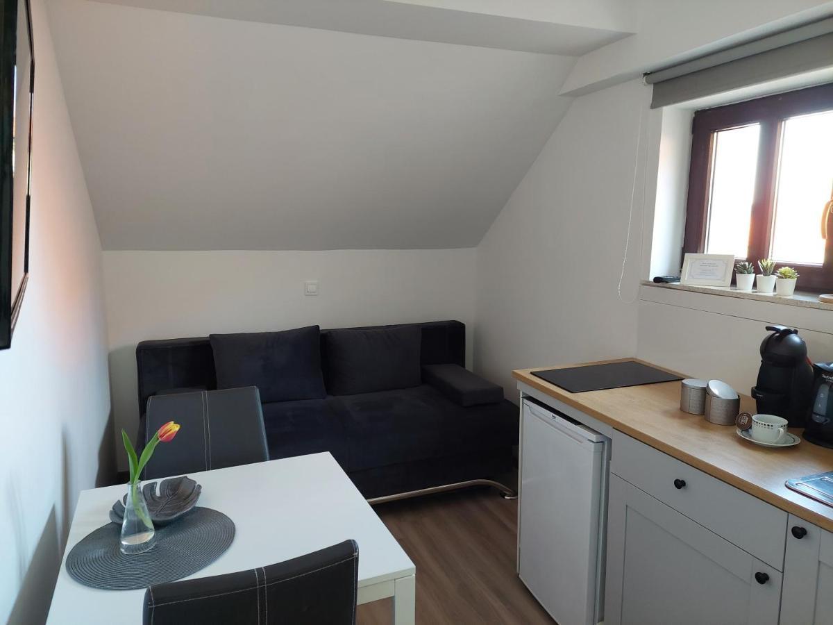 Apartment Trubarjeva33, Near Ljubljana, Free Parking Velike Lasce Eksteriør billede