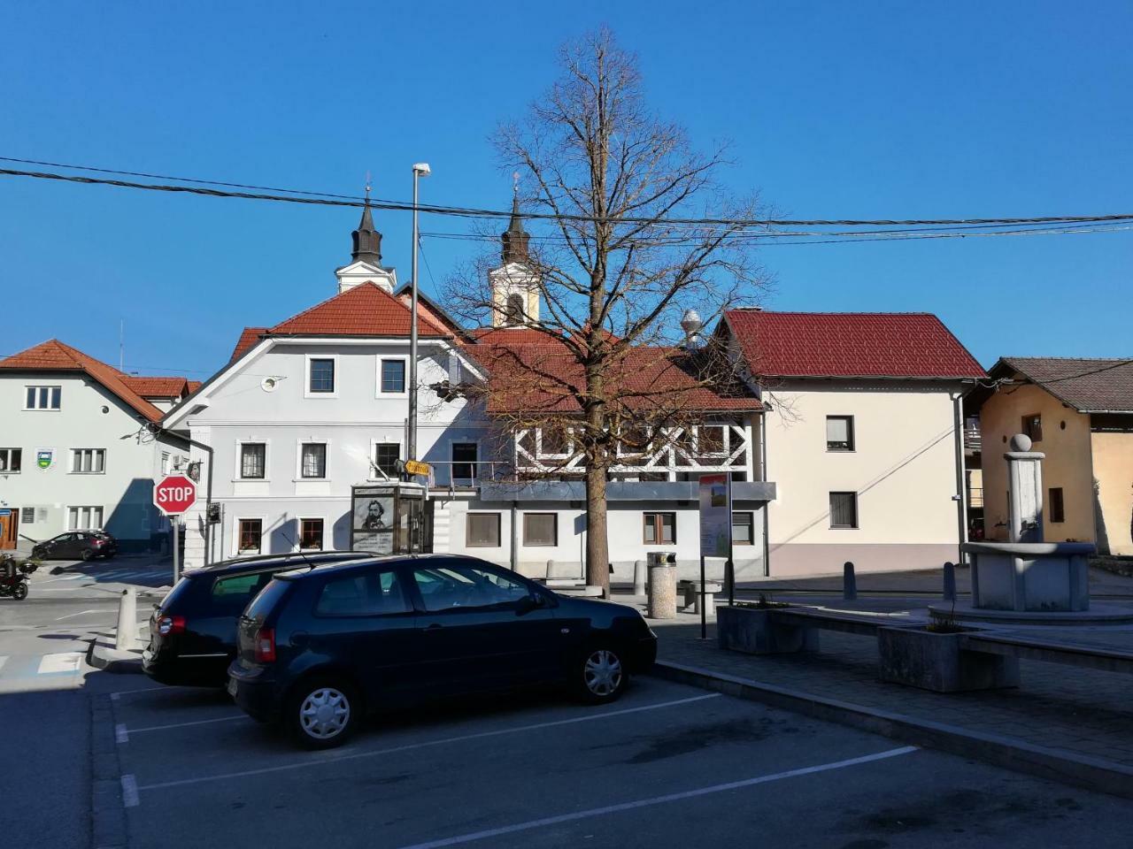 Apartment Trubarjeva33, Near Ljubljana, Free Parking Velike Lasce Eksteriør billede